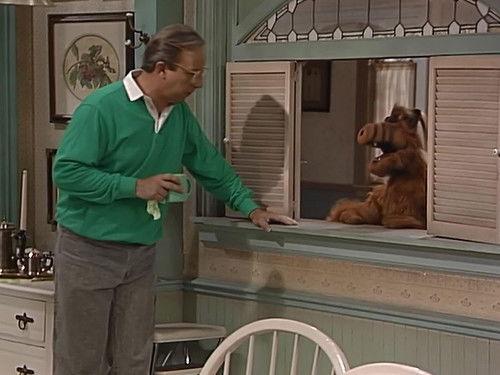 ALF Season 1 Episode 24 - Weird Science