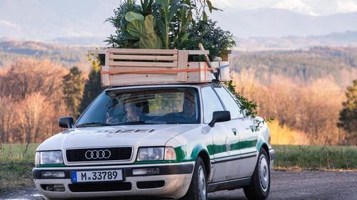 Hubert und Staller Season 9 Episode 13 - Episode 13