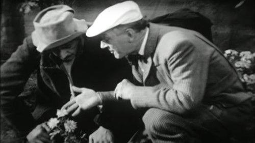 Swiebertje Season 2 Episode 4 - Die Bromsnor toch