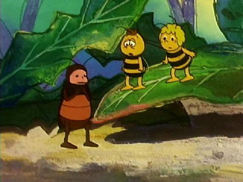 Maya the Bee Season 1 Episode 26 - Cousin Franz
