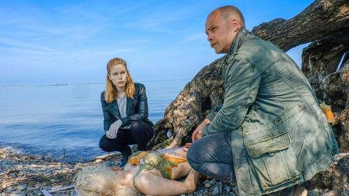Murder by the Lake Season 1 Episode 9 - The Mermaid