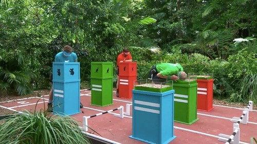 I'm a Celebrity...Get Me Out of Here! Season 18 Episode 12 - Immunity Games (1)