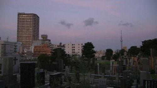 Document 72 Hours Season 4 Episode 20 - Midsummer Grave Visit Dialogue with Foreigners