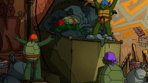 Teenage Mutant Ninja Turtles Season 3 Episode 11 - The Lesson