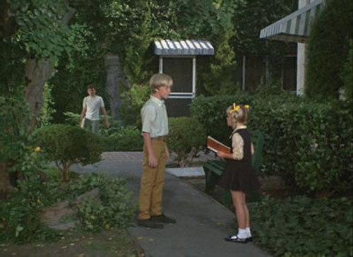 The Brady Bunch Season 2 Episode 8 - A Fistful of Reasons