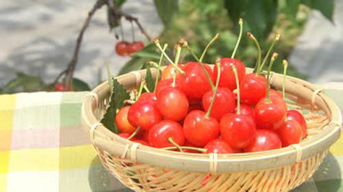 Background image for Cherries