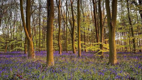 The Great British Year Season 1 Episode 2 - Spring