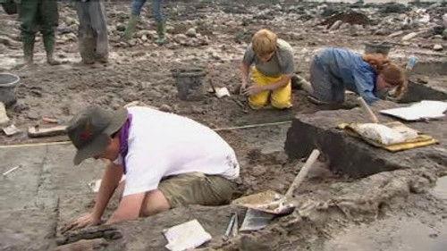 Time Team Season 11 Episode 8 - Rescuing a Mesolithic Foreshore - Goldcliff, Newport