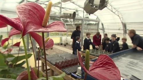 The Beechgrove Garden Season 36 Episode 4 - Episode 4