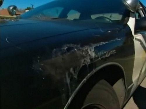 Pimp My Ride Season 3 Episode 4 - Tom's Chevy Caprice Cop Car