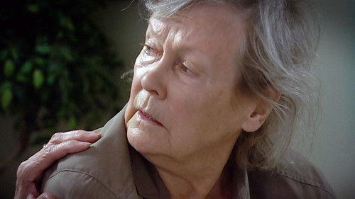 Kotikatu Season 16 Episode 19 - Episode 19