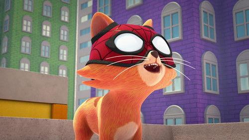 Spidey and His Amazing Friends Season 2 Episode 36 - Spidey Cat