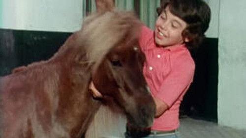 Poly Season 8 Episode 5 - Episode 5