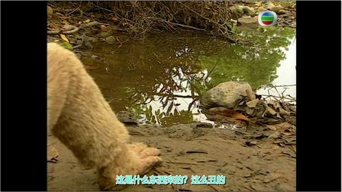 Journey to the West Season 1 Episode 1 - The Stone Monkey Breaks Free from the Rock