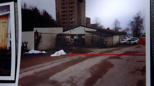 Svenska fall Season 11 Episode 7 - Episode 7