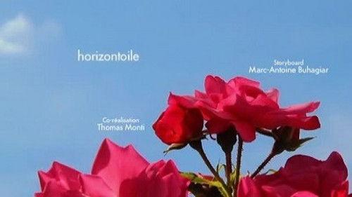 Minuscule: The Private Life of Insects Season 2 Episode 3 - Webrizon