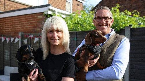 Dogs Behaving (Very) Badly Season 2 Episode 2 - Episode 2