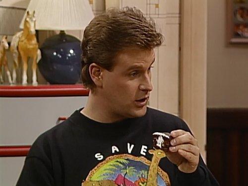 Full House Season 4 Episode 20 - Fuller House