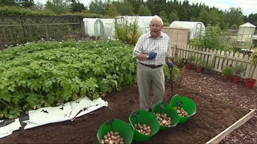 The Beechgrove Garden Season 36 Episode 14 - Episode 14