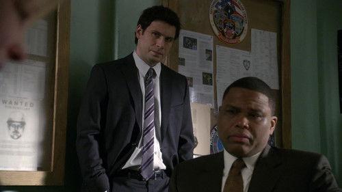 Law & Order Season 20 Episode 15 - Brilliant Disguise