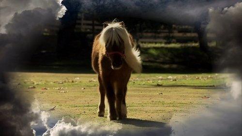 undefined Season 3 Episode 16 - Li'l Sebastian