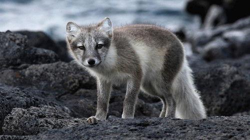 Undressed Season 3 Episode 25 - Episode 25