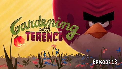 Angry Birds Toons Season 1 Episode 13 - Gardening with Terence