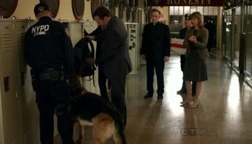 Blue Bloods Season 1 Episode 6 - Smack Attack