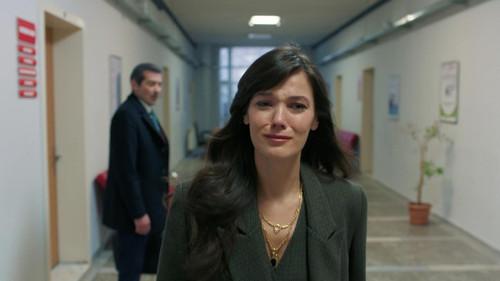 Family Secrets Season 3 Episode 19 - Episode 82