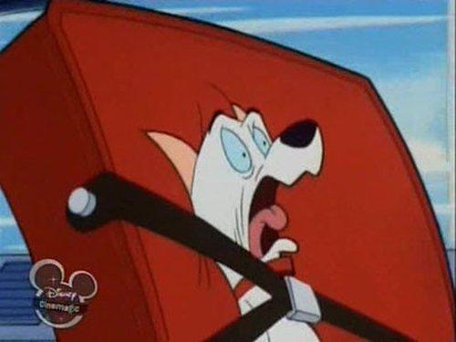 101 Dalmatians: The Series Season 1 Episode 13 - The Great Cat Invasion