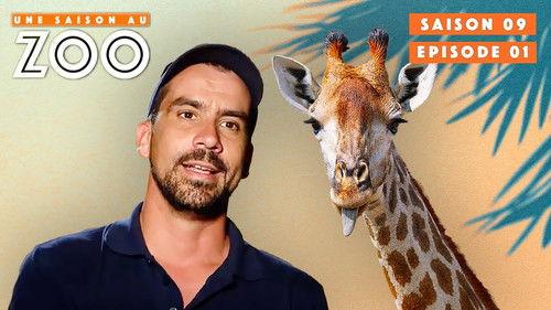 Une saison au zoo Season 9 Episode 1 - Episode 1