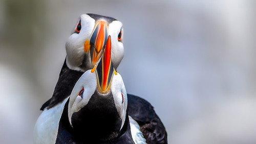 Springwatch Season 21 Episode 2 - Episode 2
