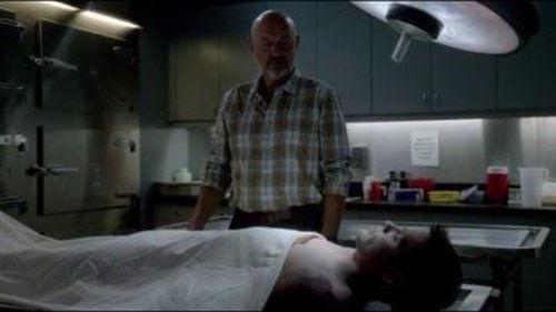 Hawaii Five-0 Season 4 Episode 5 - Kupu‘eu (Fallen Hero)