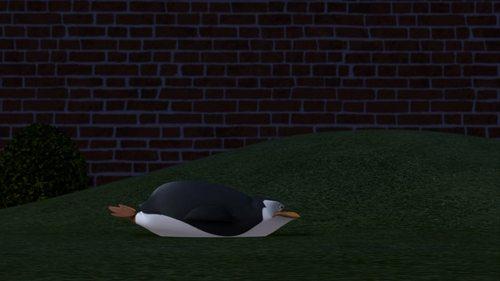 The Penguins of Madagascar Season 1 Episode 8 - Penguiner Takes All