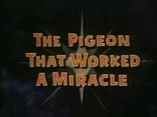 The Wonderful World of Disney Season 5 Episode 2 - The Pigeon That Worked a Miracle