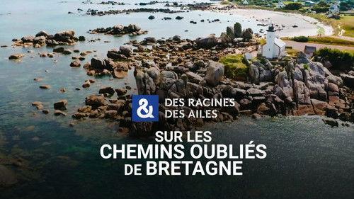 Des racines & des ailes Season 27 Episode 10 - Episode 10