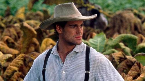 Background image for Brother Love