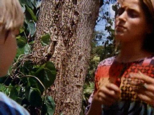 Swamp Thing Season 1 Episode 10 - New Acquaintance