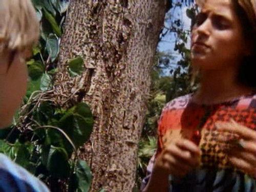 Swamp Thing Season 1 Episode 10 - New Acquaintance