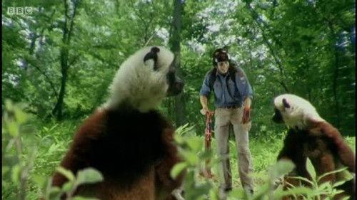 Andy's Wild Adventures Season 2 Episode 11 - Lemurs