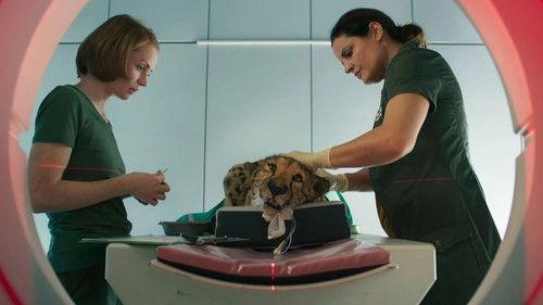 Tierärztin Dr. Mertens Season 6 Episode 3 - Episode 3