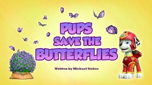 PAW Patrol Season 5 Episode 17 - Pups Save the Butterflies
