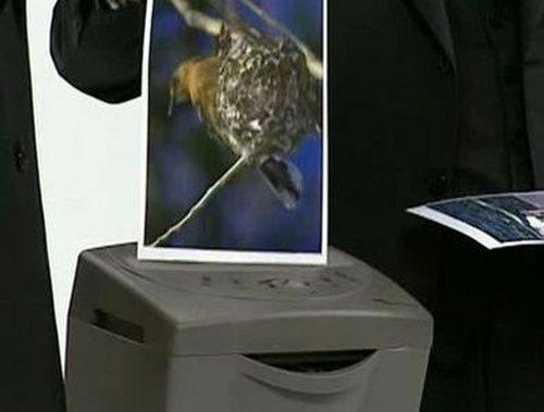 undefined Season 3 Episode 11 - Endangered Species