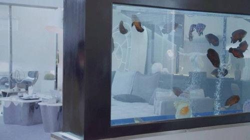 The Fox's Summer Season 1 Episode 11 - Episode 11