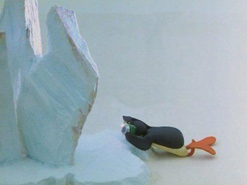 Pingu Season 2 Episode 11 - Pingu and the Camera