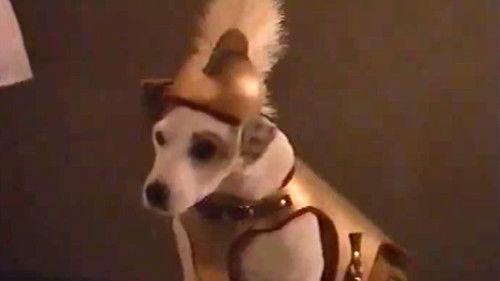 Wishbone Season 1 Episode 5 - Homer Sweet Homer