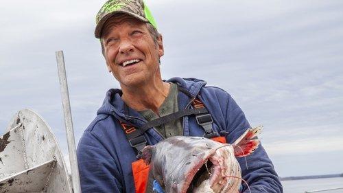 Dirty Jobs Season 11 Episode 4 - Caviar Harvester / Spice Maker