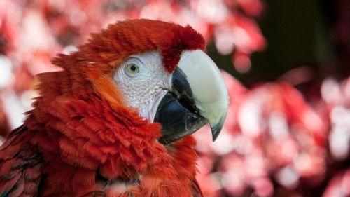 Pechino Express Season 5 Episode 6 - Episode 6