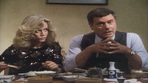 Knots Landing Season 2 Episode 17 - Designs