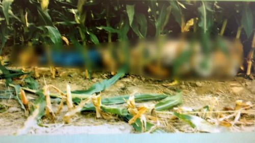 Ermittler! Season 8 Episode 14 - Episode 14